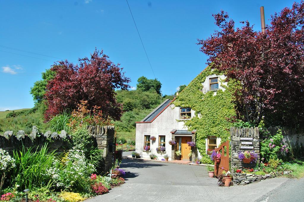 Tinnycross House B&B Ballymore Eustace Buitenkant foto