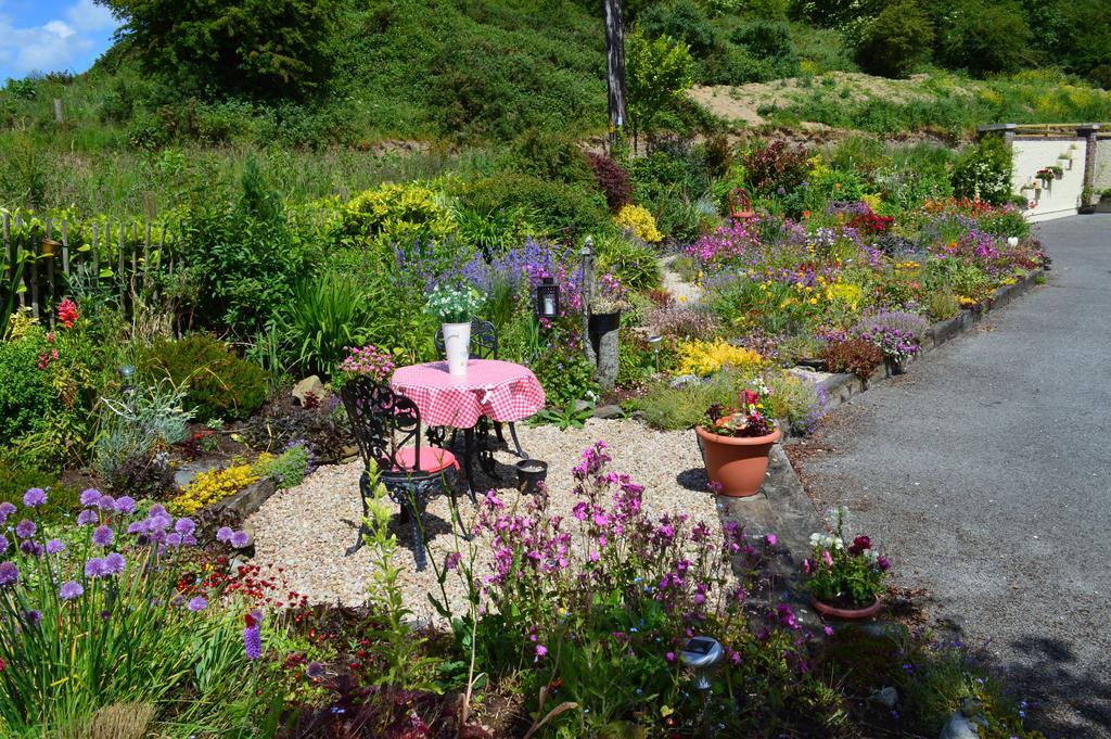 Tinnycross House B&B Ballymore Eustace Buitenkant foto