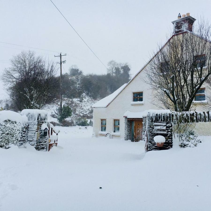 Tinnycross House B&B Ballymore Eustace Buitenkant foto