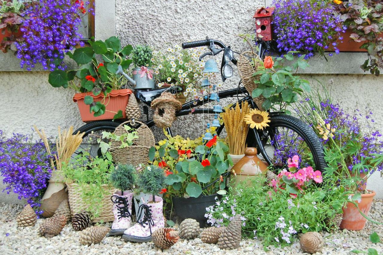 Tinnycross House B&B Ballymore Eustace Buitenkant foto