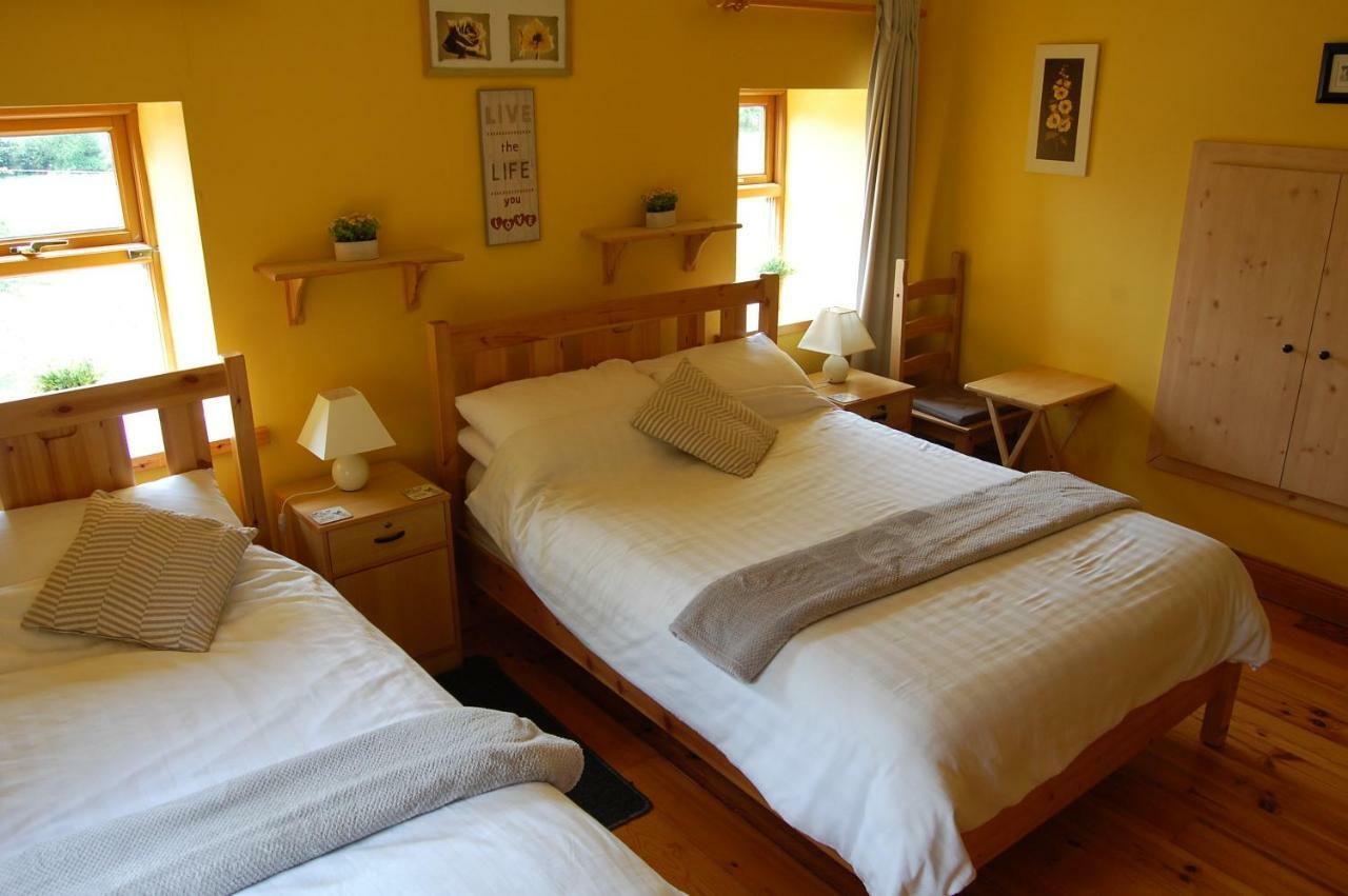 Tinnycross House B&B Ballymore Eustace Buitenkant foto
